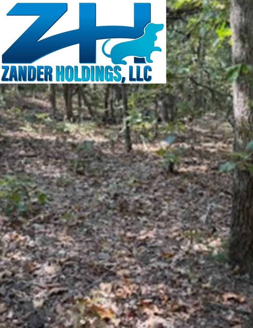 0.17 Acres for Sale in Ozark Acres, Arkansas