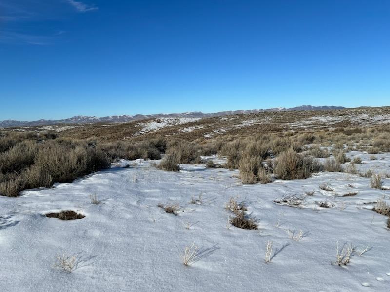 10 Acres for Sale in Halleck, Nevada