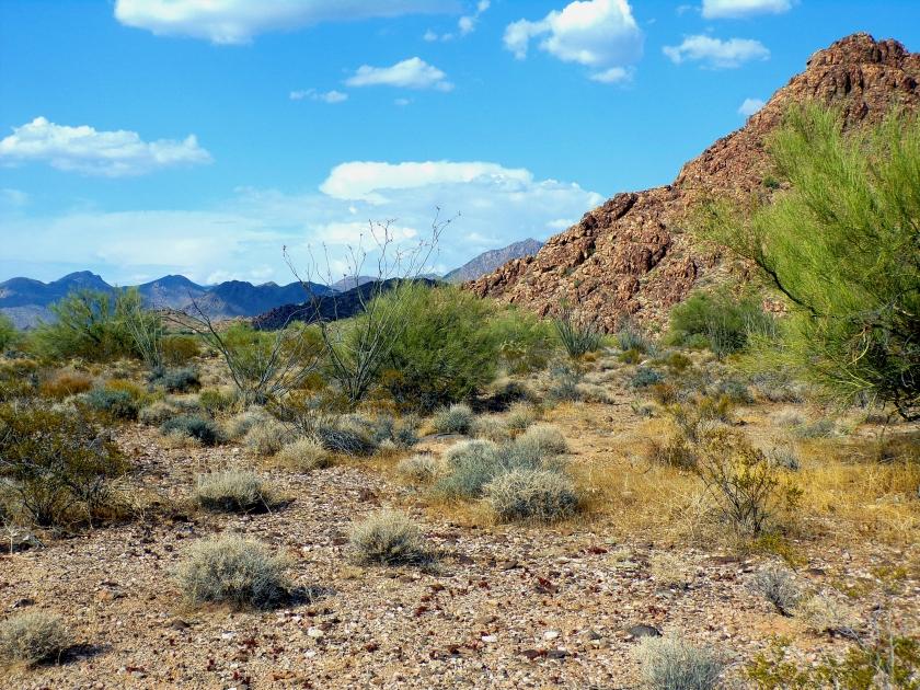 2.35 Acres for Sale in Yucca, Arizona