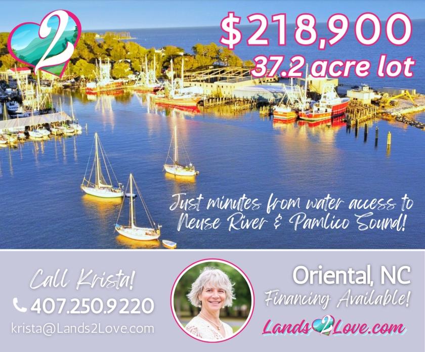 37.2 Acres for Sale in Oriental, North Carolina