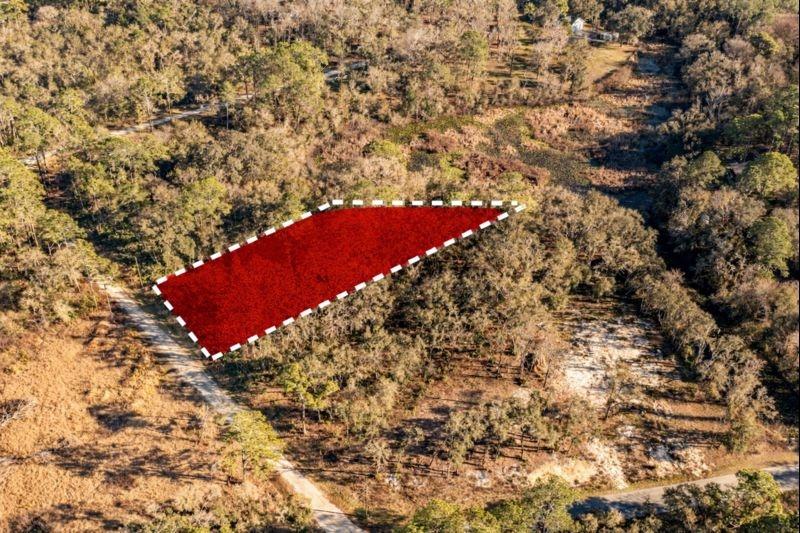 0.54 Acres for Sale in Webster, Florida