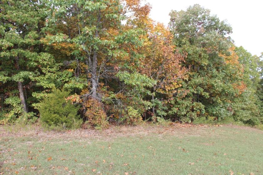 0.37 Acres for Sale in Horseshoe Bend, Arkansas