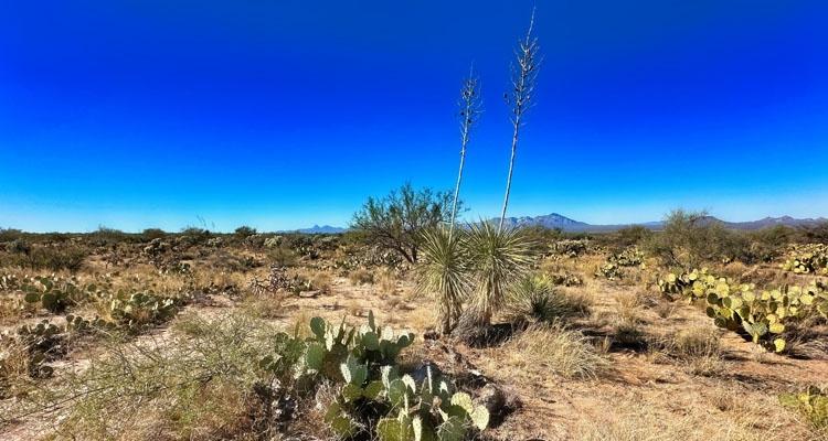 1.02 Acres for Sale in Tucson, Arizona