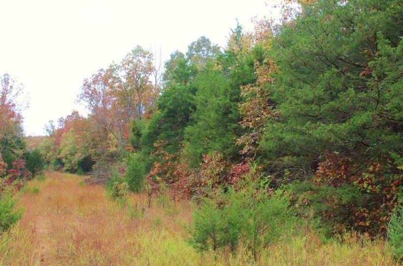 0.40 Acres for Sale in Horseshoe Bend, Arkansas