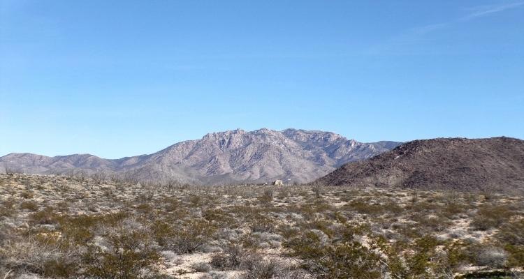 2.35 Acres for Sale in Yucca, Arizona