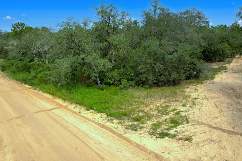 0.28 Acres for Sale in Interlachen, Florida