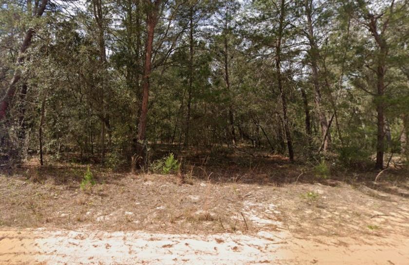 0.22 Acres for Sale in Interlachen, Florida