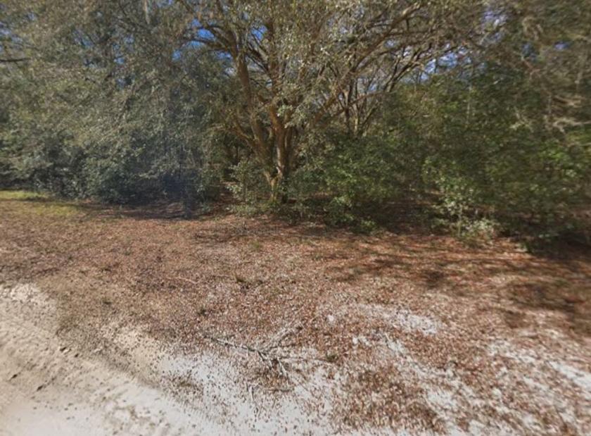 0.22 Acres for Sale in Interlachen, Florida