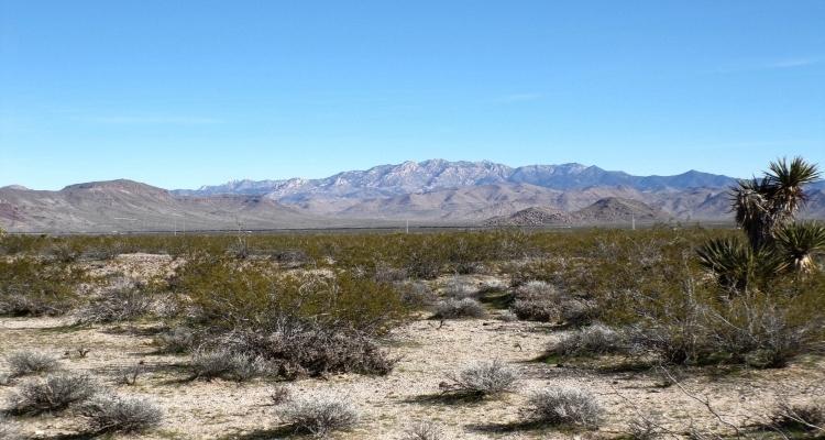 1.13 Acres for Sale in Golden Valley, Arizona