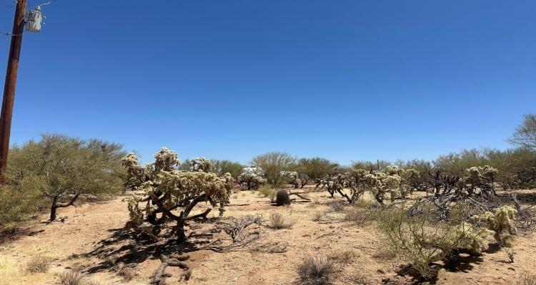 1.07 Acres for Sale in Tucson, Arizona