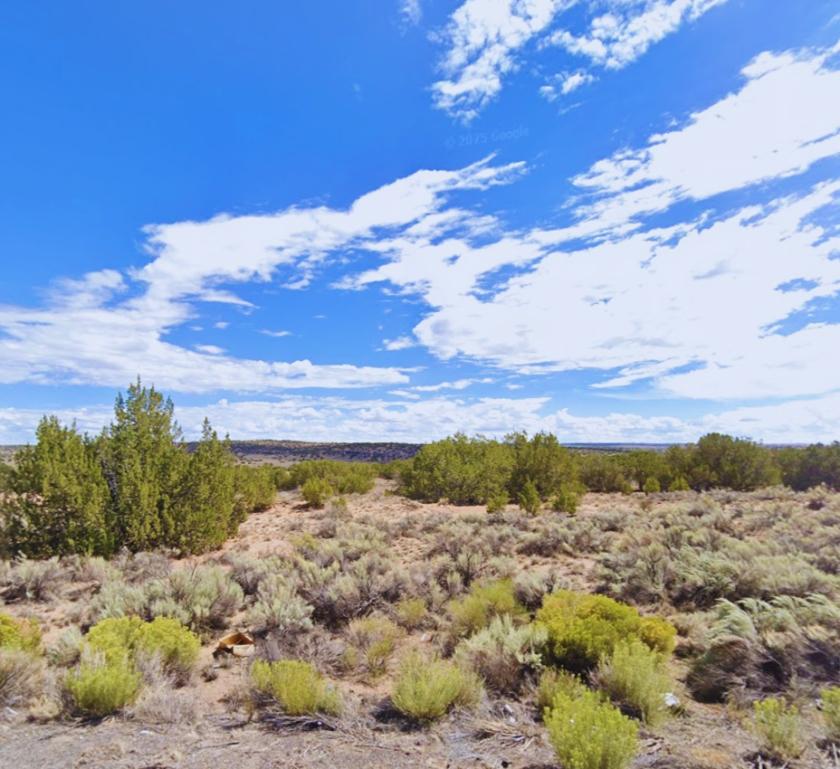 1.07 Acres for Sale in Sanders, Arizona
