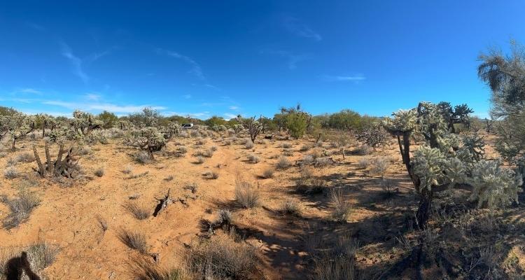 1.18 Acres for Sale in Tucson, Arizona