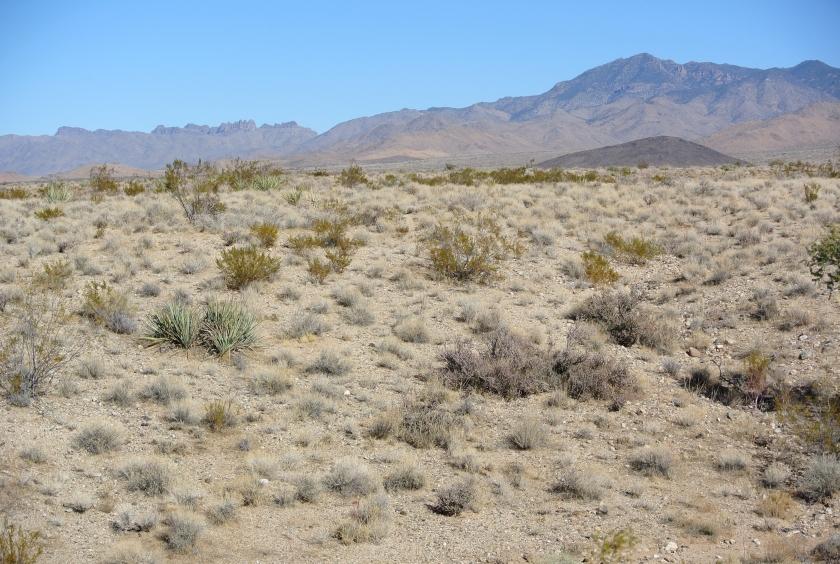 2.5 Acres for Sale in Golden Valley, Arizona