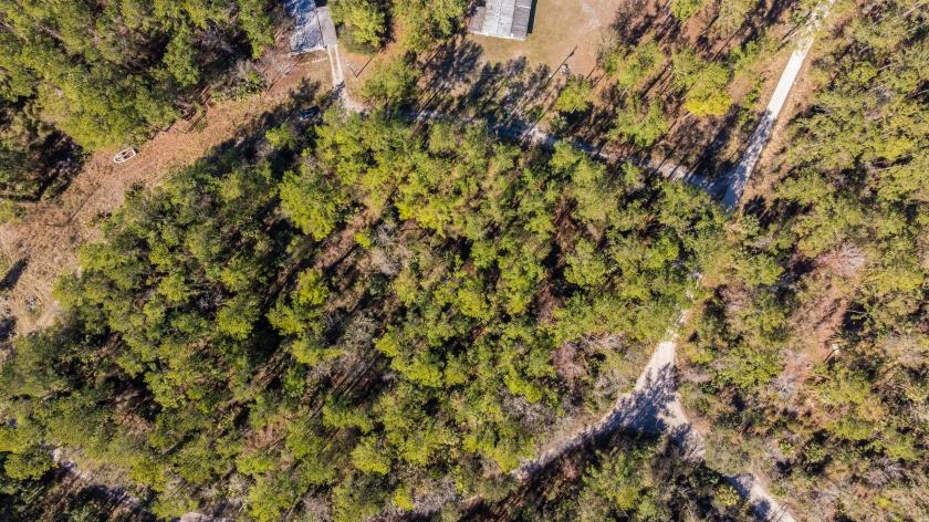 0.29 Acres for Sale in Satsuma, Florida