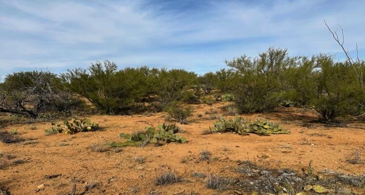 1 Acres for Sale in Tucson, Arizona