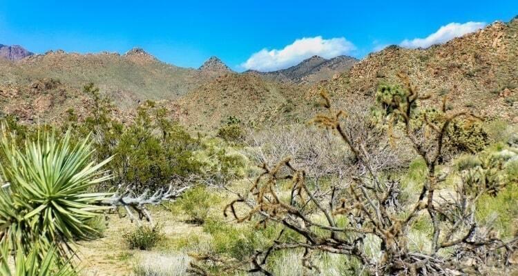 1.88 Acres for Sale in Yucca, Arizona