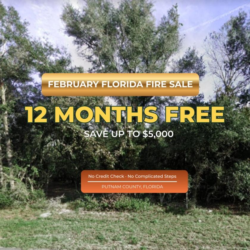 0.46 Acres for Sale in Satsuma, Florida