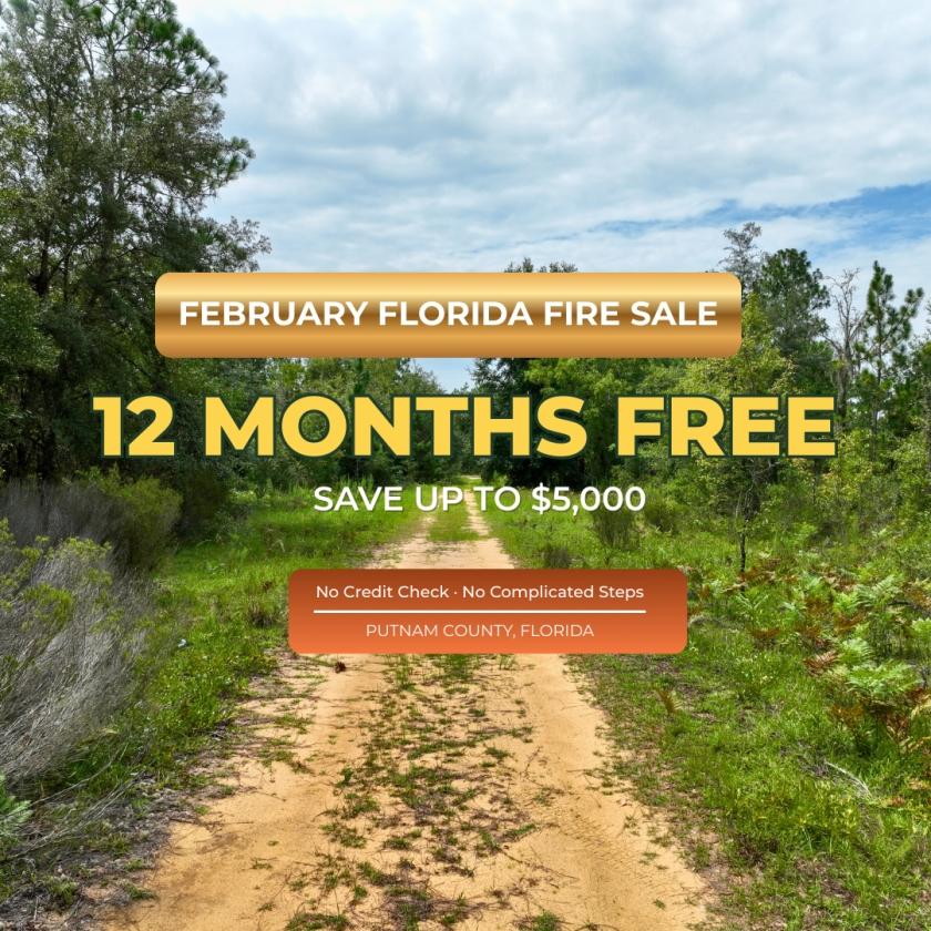 0.3 Acres for Sale in Interlachen, Florida