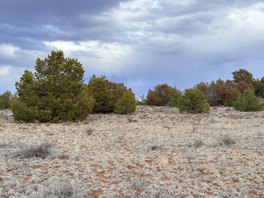 5.2 Acres for Sale in El Morro Valley, New Mexico
