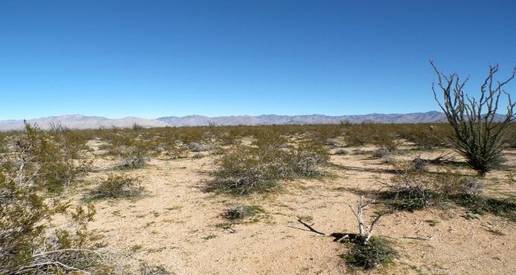 5.00 Acres for Sale in Yucca, Arizona