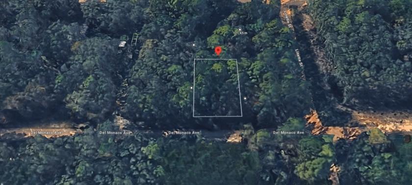 0.22 Acres for Sale in Interlachen, Florida