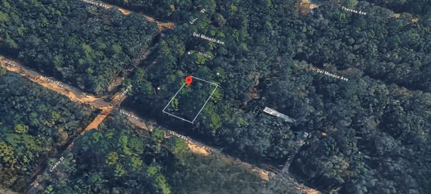 .22 Acres for Sale in Interlachen, Florida