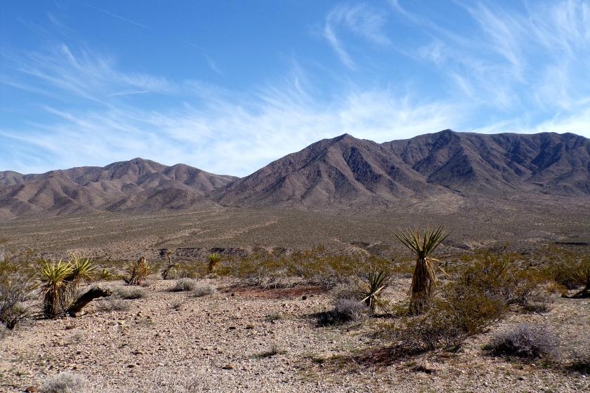 1.25 Acres for Sale in Meadview, Arizona