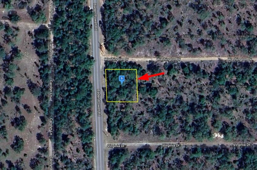 0.29 Acres for Sale in Hawthorne, Florida