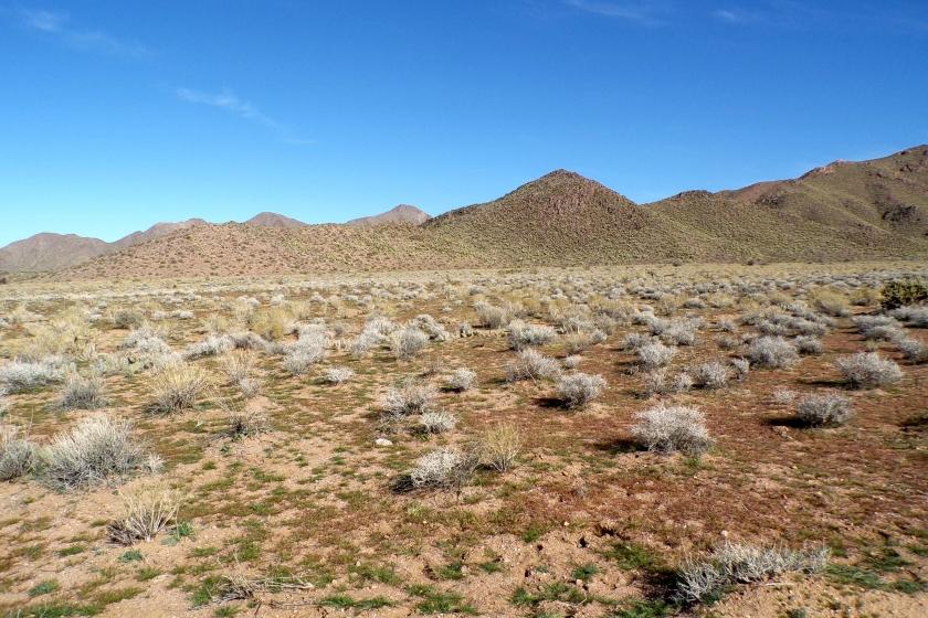 1.25 Acres for Sale in Meadview, Arizona