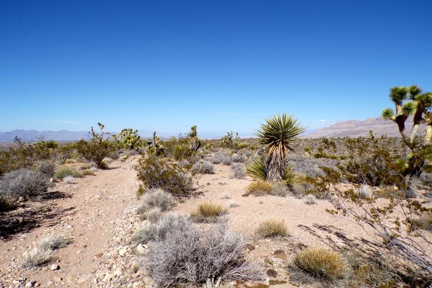 1.25 Acres for Sale in Meadview, Arizona