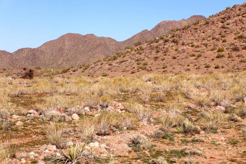 1.25 Acres for Sale in Meadview, Arizona