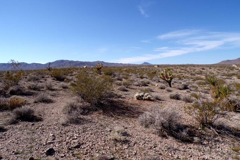1.25 Acres for Sale in Meadview, Arizona