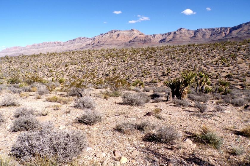1 Acres for Sale in Meadview, Arizona