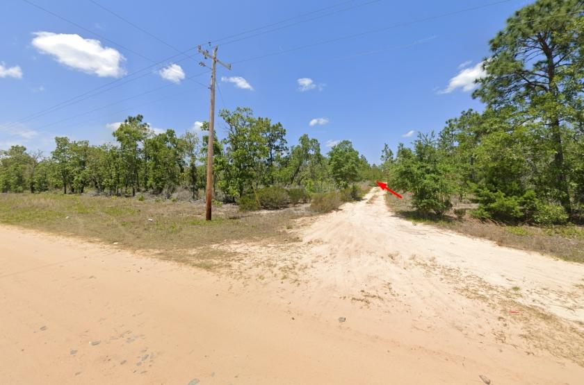 0.6 Acres for Sale in Hawthorne, Florida