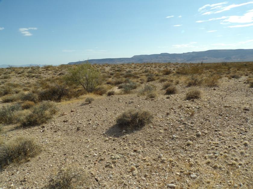 2.22 Acres for Sale in Yucca, Arizona