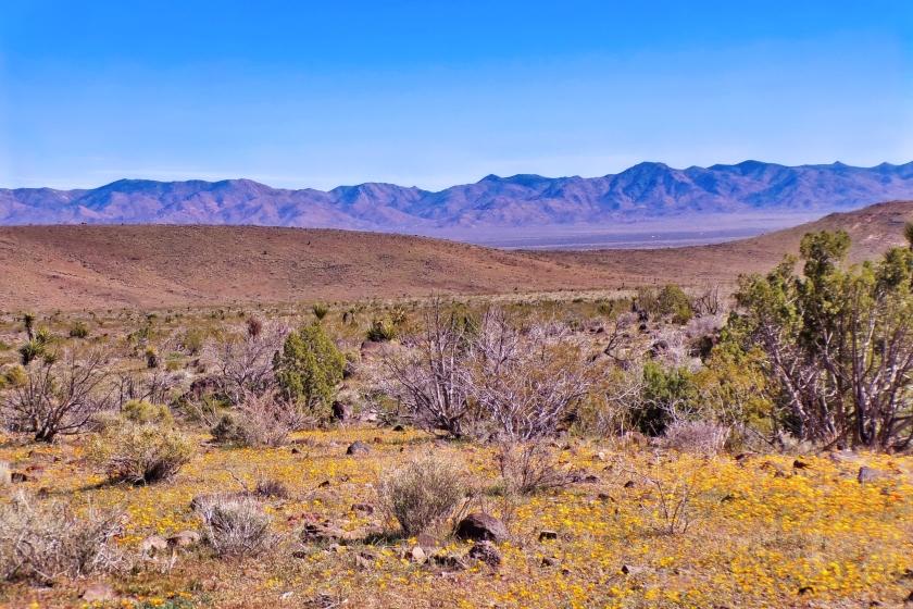 2.35 Acres for Sale in Golden Valley, Arizona