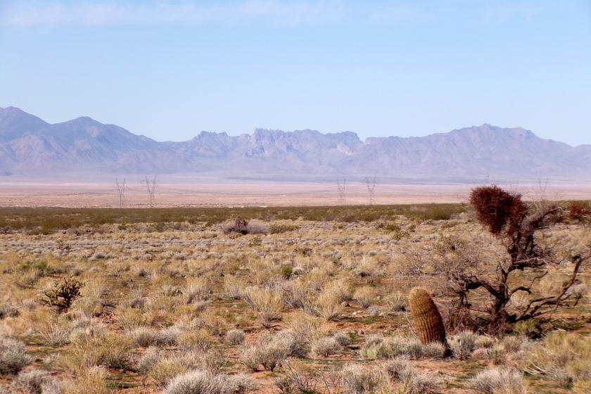 1 Acres for Sale in Meadview, Arizona