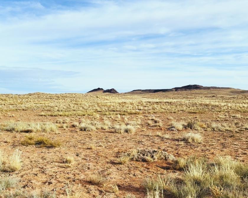 5 Acres for Sale in Sun Valley, Arizona