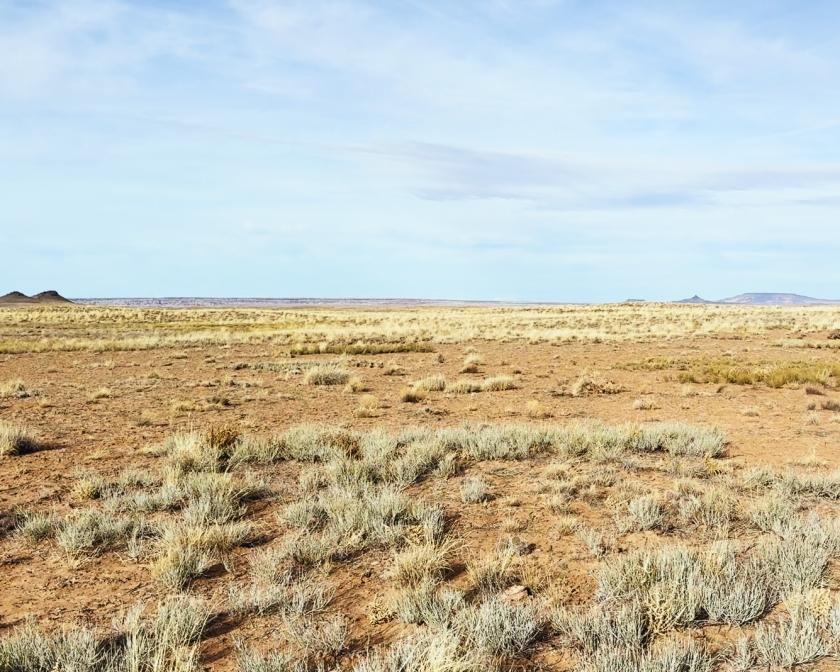 2.5 Acres for Sale in Sun Valley, Arizona