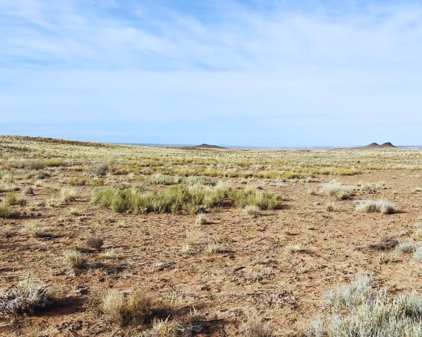 2.5 Acres for Sale in Sun Valley, Arizona