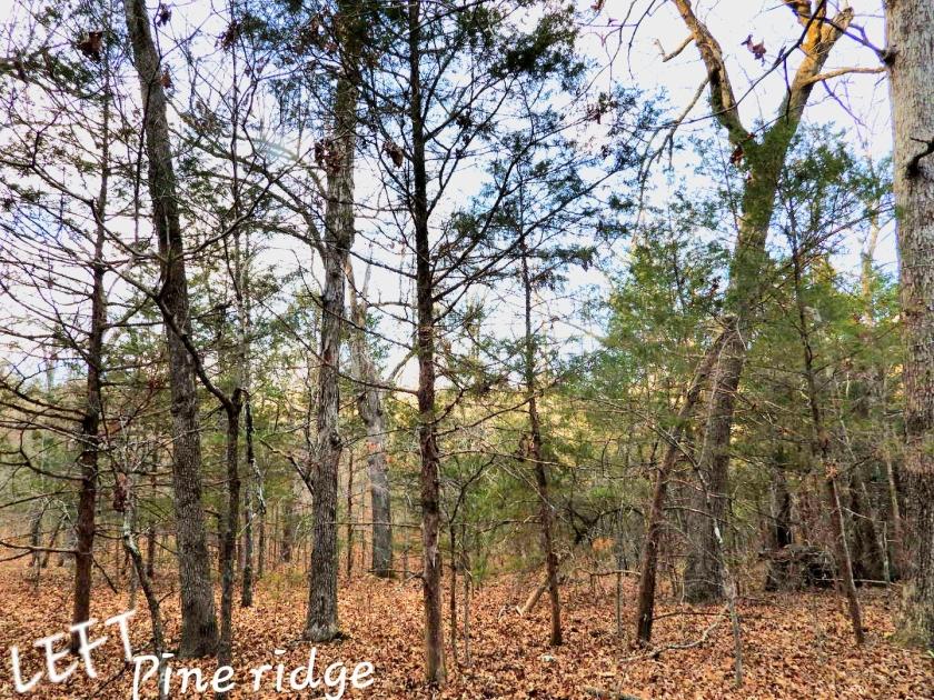 0.56 Acres for Sale in Horseshoe Bend, Arkansas