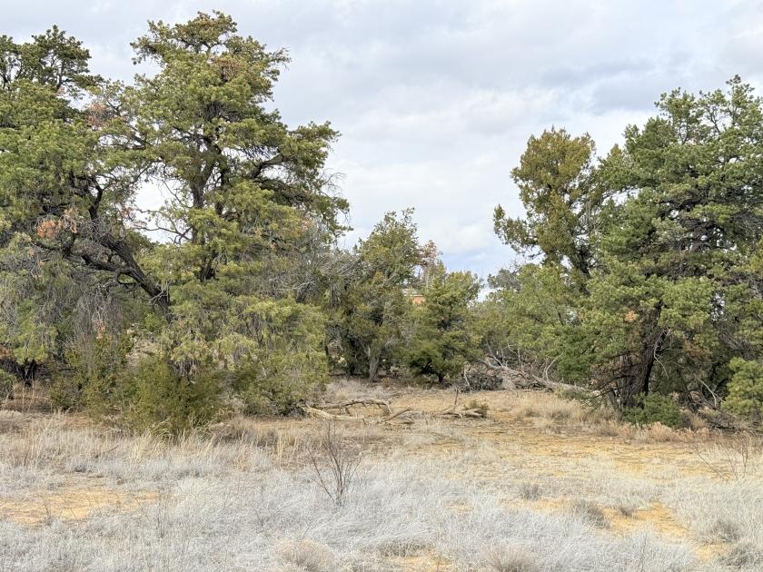 3.7 Acres for Sale in Pinehill, New Mexico