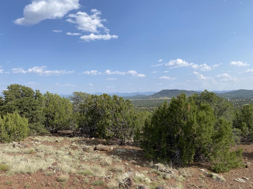 1.13 Acres for Sale in Concho, Arizona