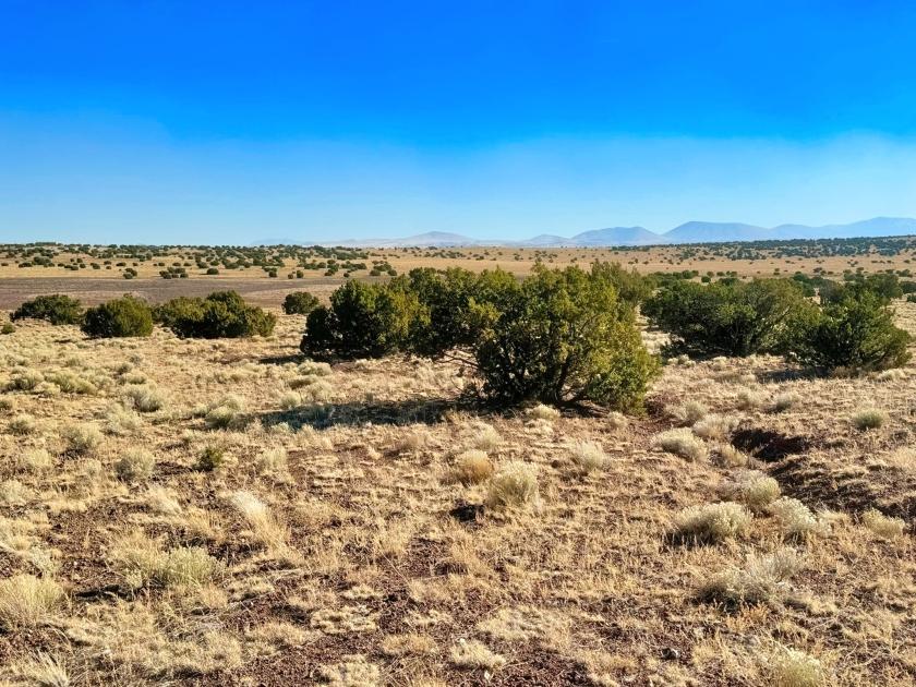 1.12 Acres for Sale in Concho, Arizona