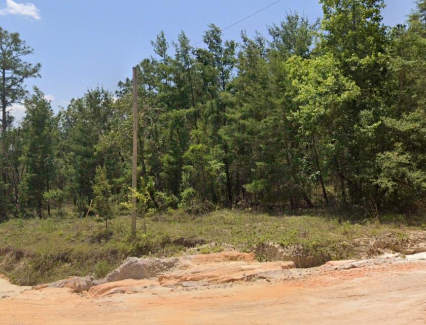 0.20 Acres for Sale in Hawthorne, Florida