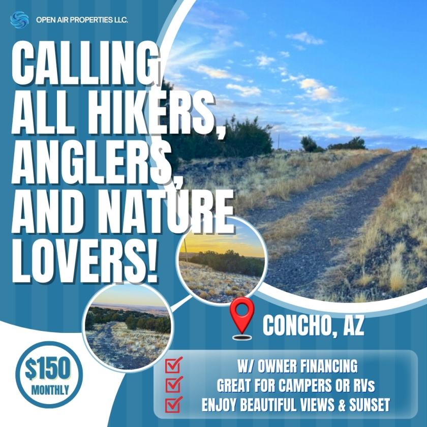 0.37 Acres for Sale in Concho, Arizona