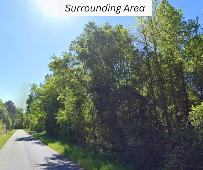 0.59 Acres for Sale in Denmark, South Carolina