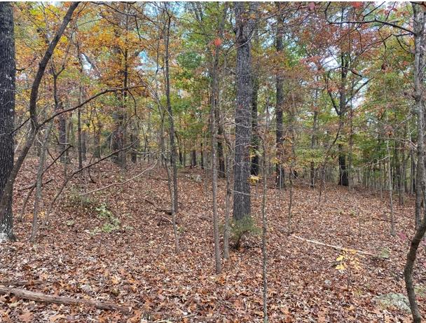 0.30 Acres for Sale in Horseshoe Bend, Arkansas