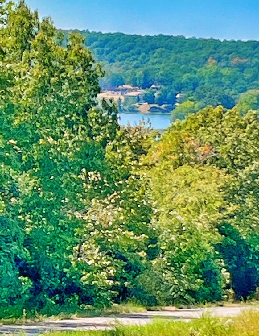 0.34 Acres for Sale in Horseshoe Bend, Arkansas