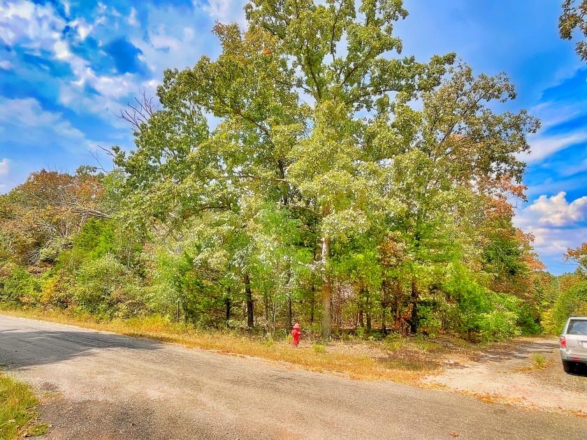 0.31 Acres for Sale in Horseshoe Bend, Arkansas